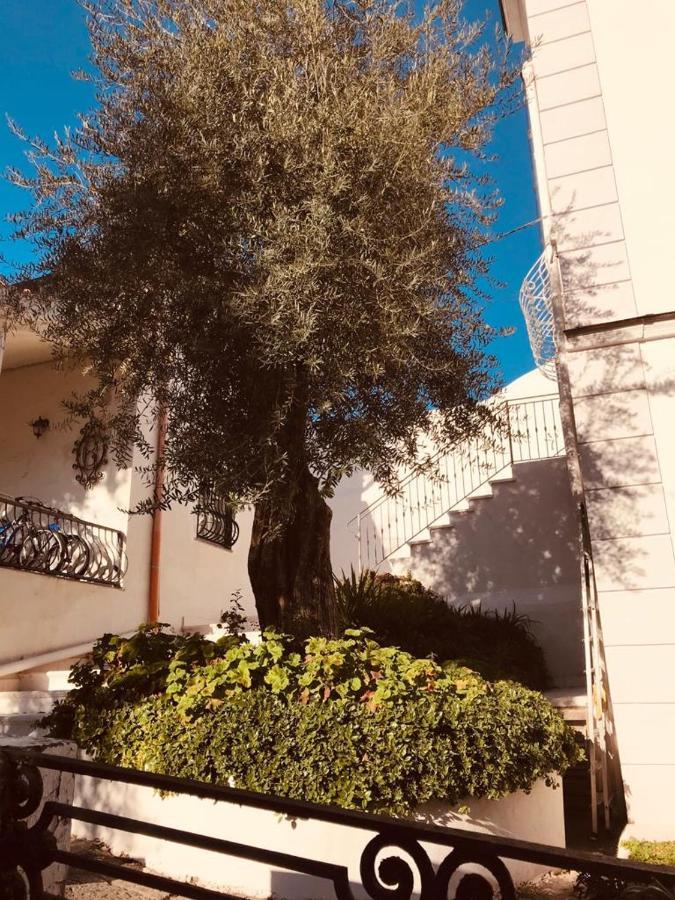 B&B Casa Maria Vittoria Torre del Greco Exterior photo