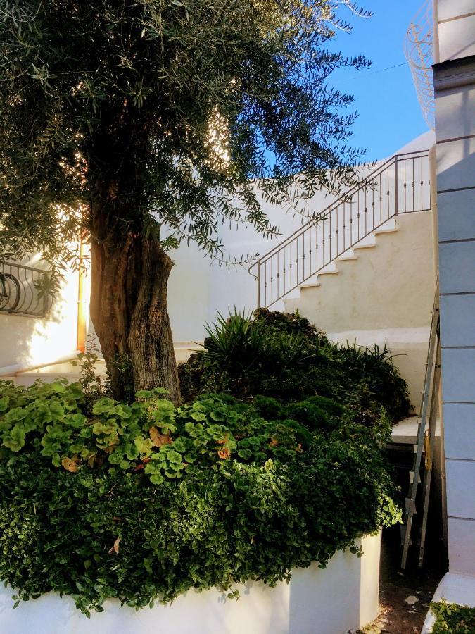 B&B Casa Maria Vittoria Torre del Greco Exterior photo